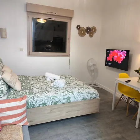 Magnifique Douillet Apartament