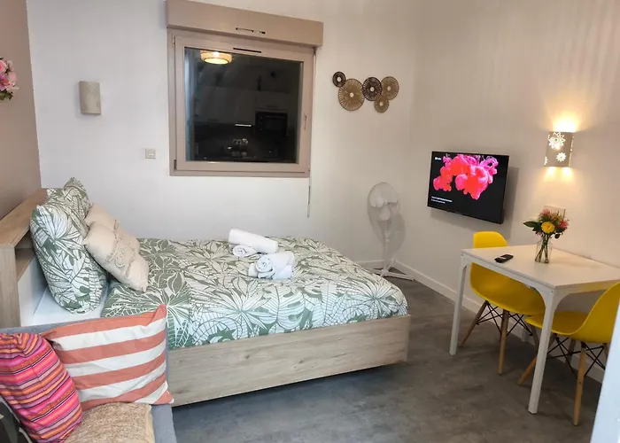 Magnifique Douillet Appartamento