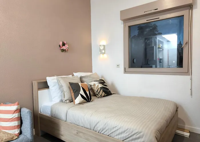 Appartamento Magnifique Douillet *